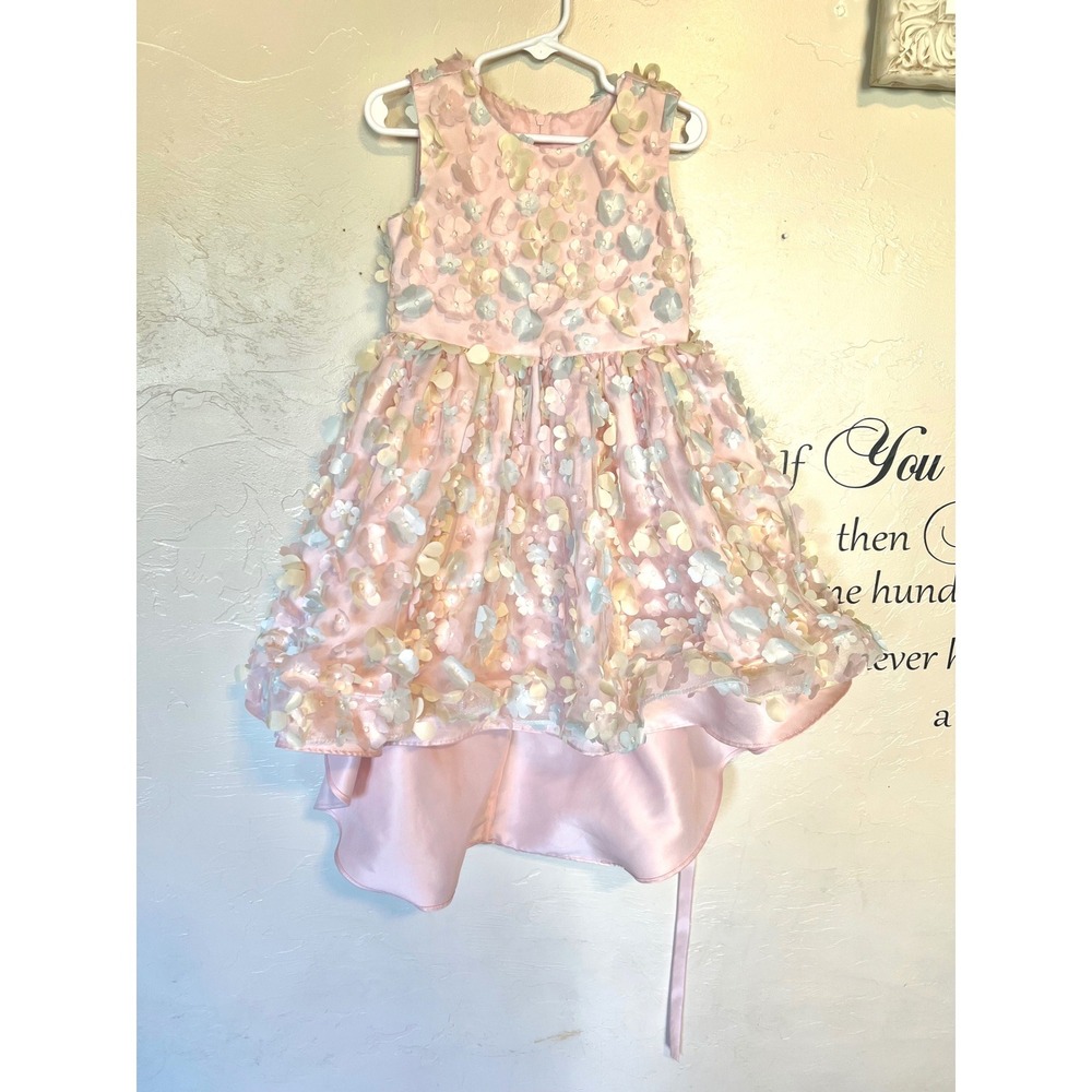 Rare Editions Girls Pink Floral Applique High-Low Party Dress 4T fairy 3D Pastel